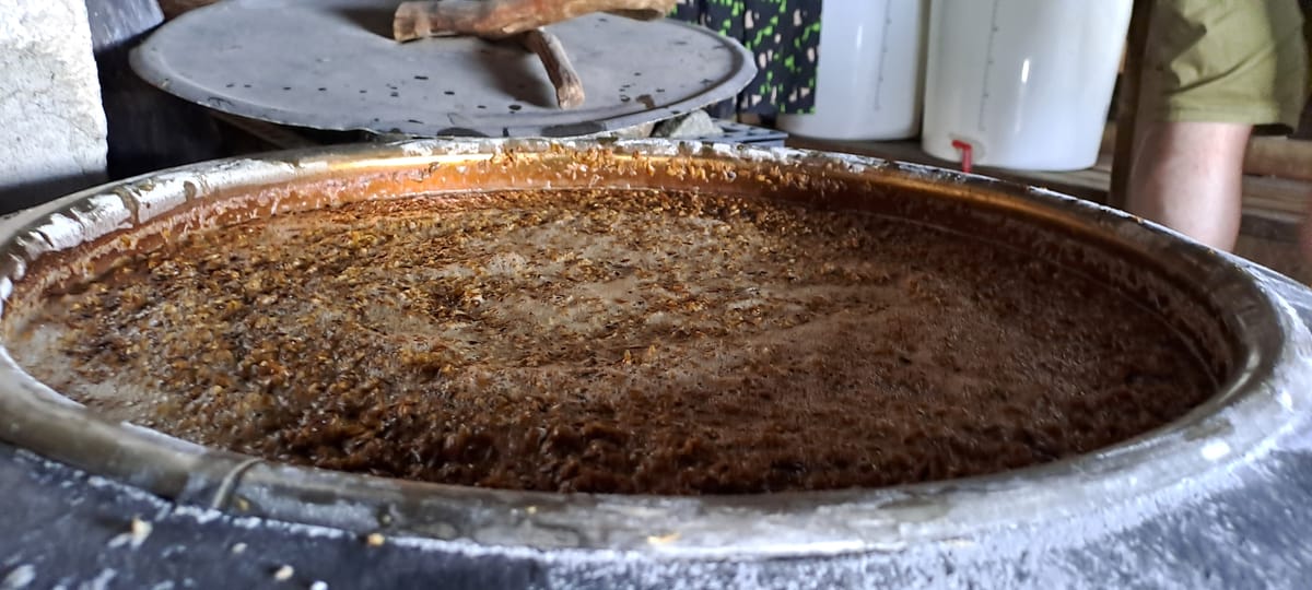 Juin – Sahti, la bière banane à brasser dans le sauna